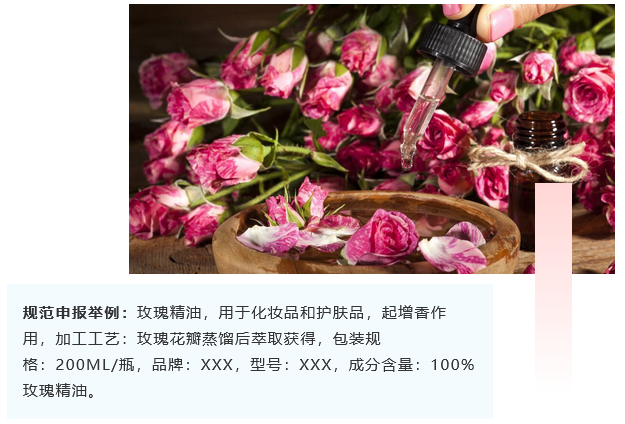 <a href='http://m.zjkccx.cn' title='危險品海運' >危險品海運</a>
