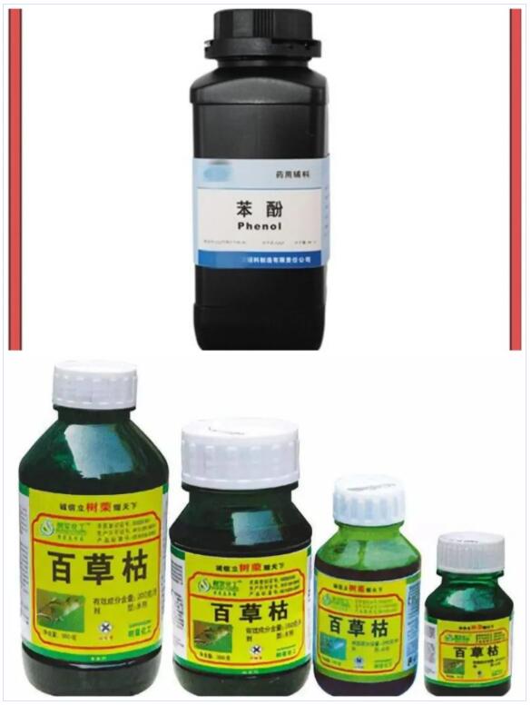 <a href='http://m.zjkccx.cn' title='國際貨運代理' >國際貨運代理</a>